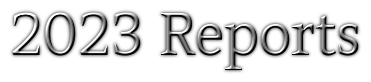 GL-VIR-D 2023 DC Reports.png
