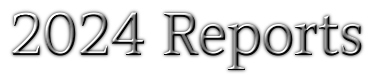 GL-VIR-D 2024 DC Reports.png