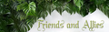 Afile4.webp