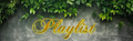 Duplicate playlist.webp