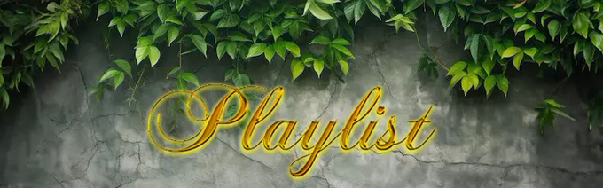 Duplicate playlist.webp