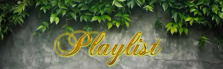 File:Duplicate playlist.webp