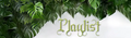 Afile7.webp
