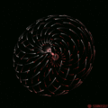 Tumblr nbwnkvEMEu1tag1v6o1 500.gif
