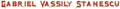 Cool Text - Gabriel Vassily Stanescu 477057970308838.png