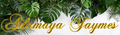 Banner a.webp