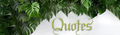 Afile5.webp